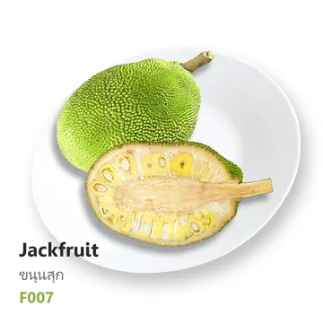 F007---ขนุนสุก-Jackfruit