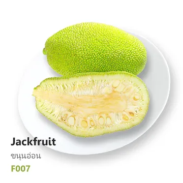 ขนุนอ่อน