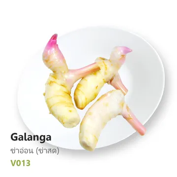 ข่าอ่อน-(ข่าสด)---Galanga