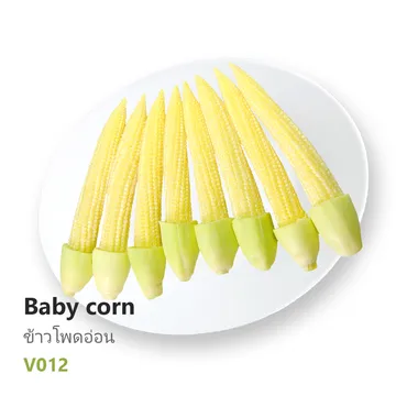 ข้าวโพดอ่อน-Baby-corn