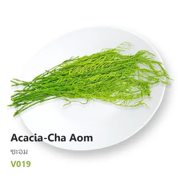 ชะอม-Acacia-Cha-Aom