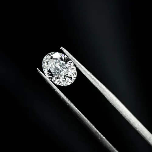 gia6