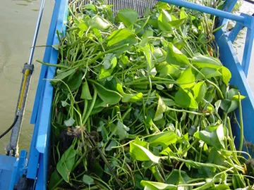 Garbage-Collecting-Boat1