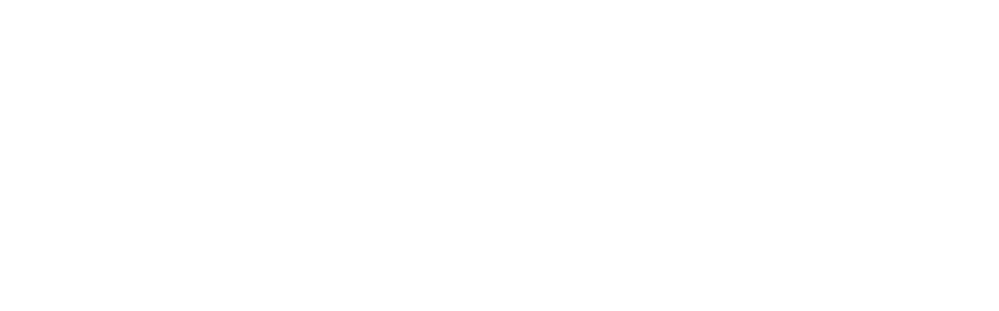 LogoSTJPlus4