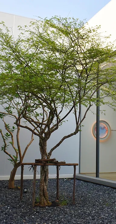 GALLERY-FERTILITY-CLINIC(2)