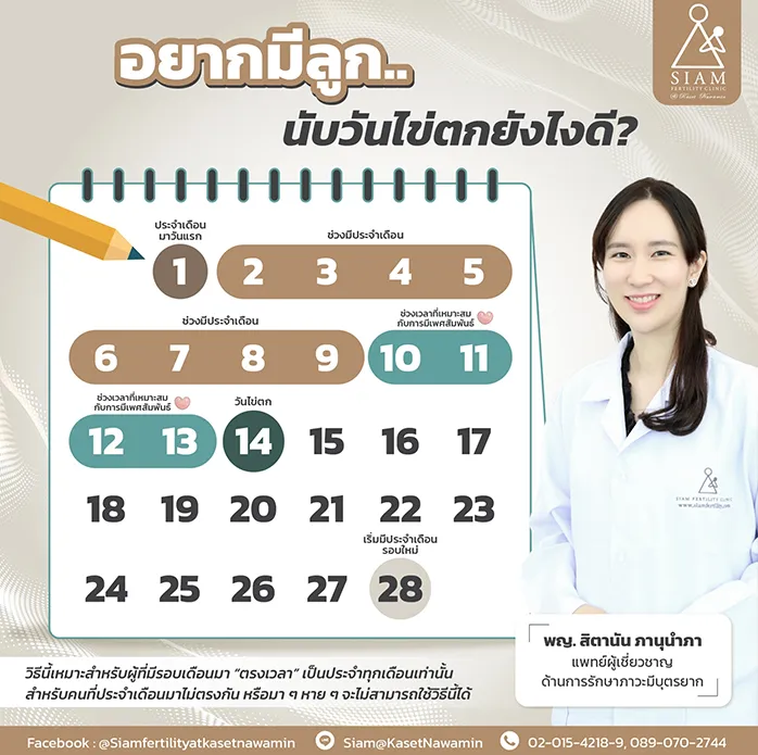อยากมีลูก-นับวันไข่ตกยังไงดี