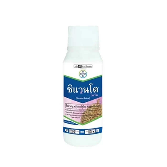 ซิแวนโต-ไพร์ม-(2)