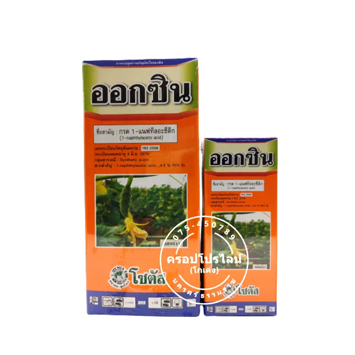 ออกซิน