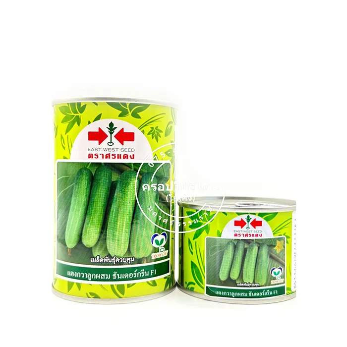 แตงกวา-ธันเดอร์กรีน