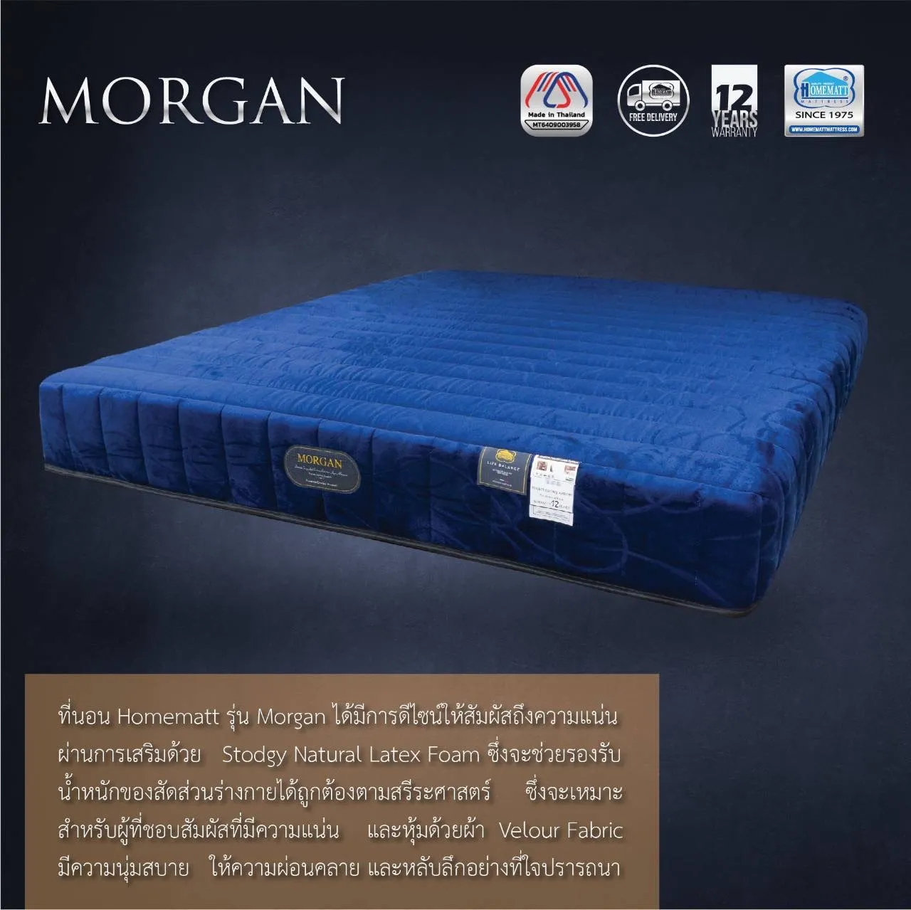 MORGAN(1)