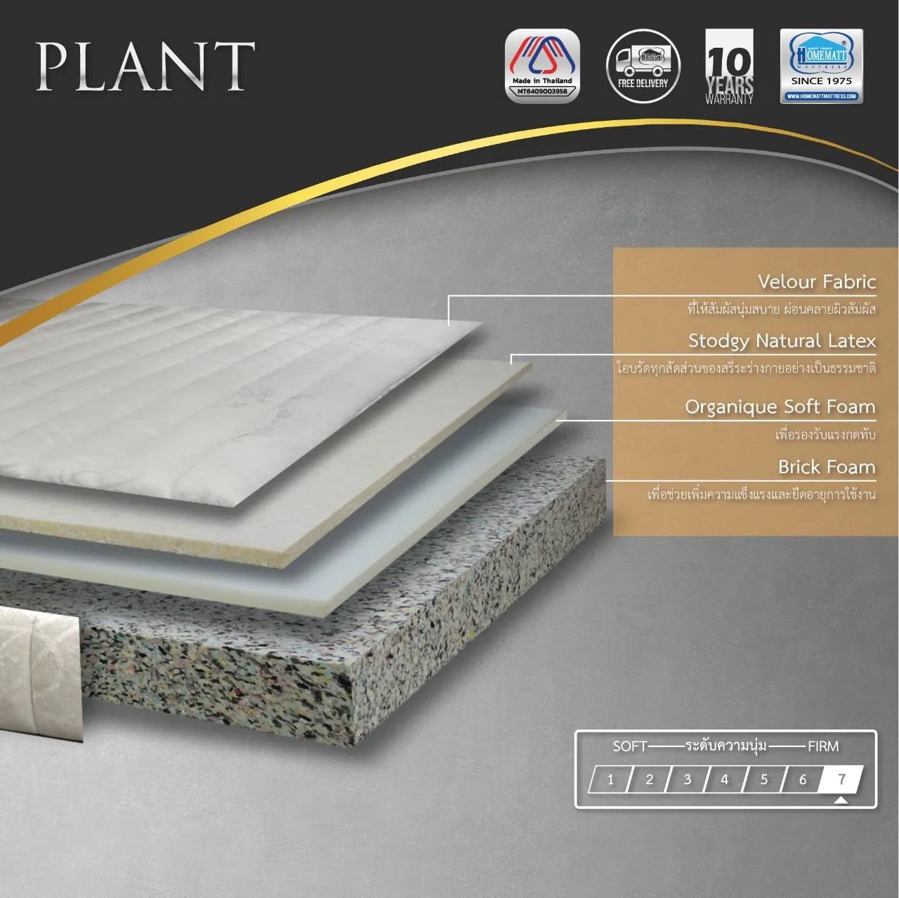 PLANT(2)