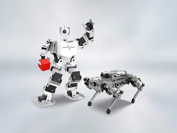 STEM