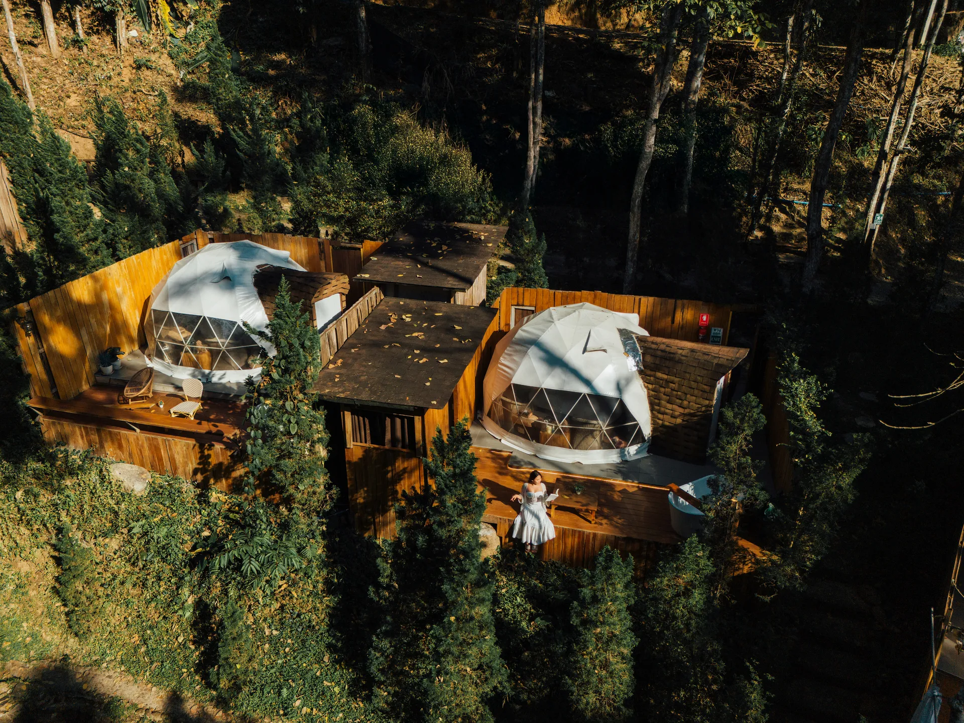 DJI202501231527450898D
