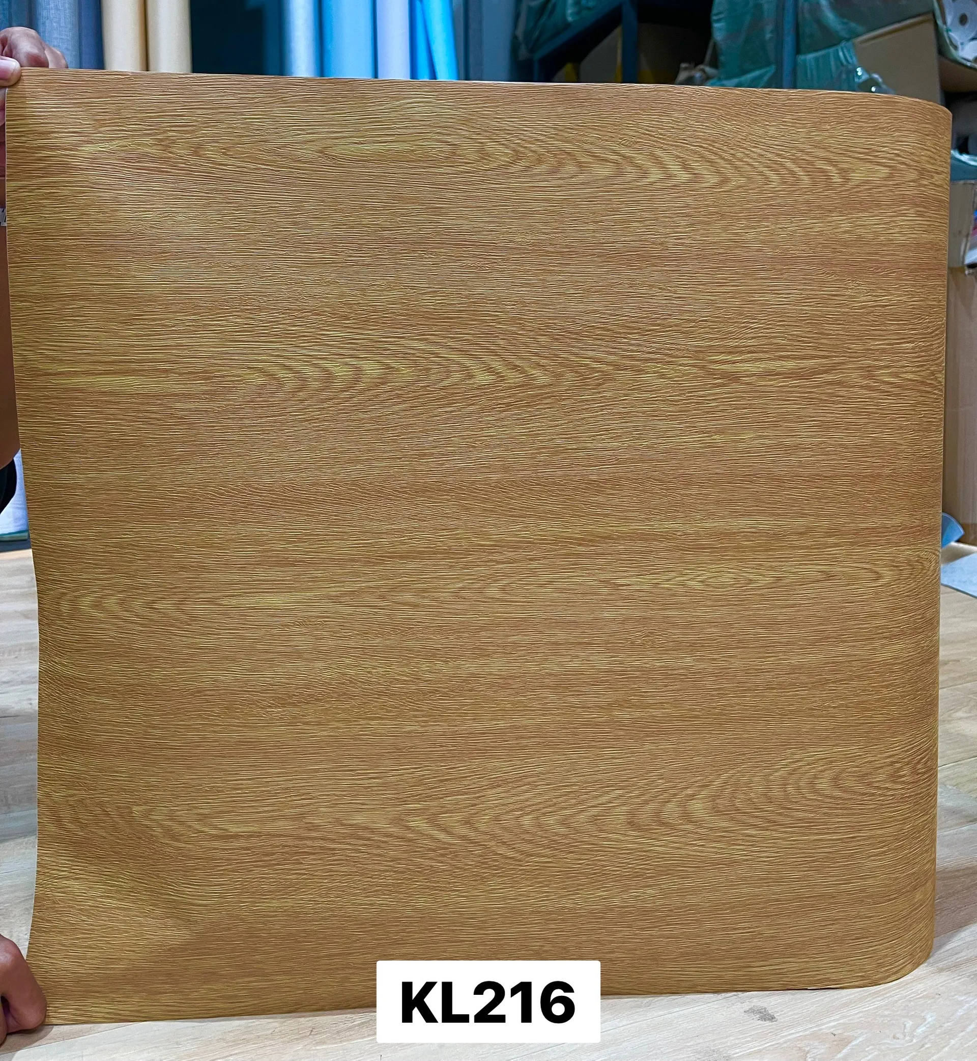 KL216