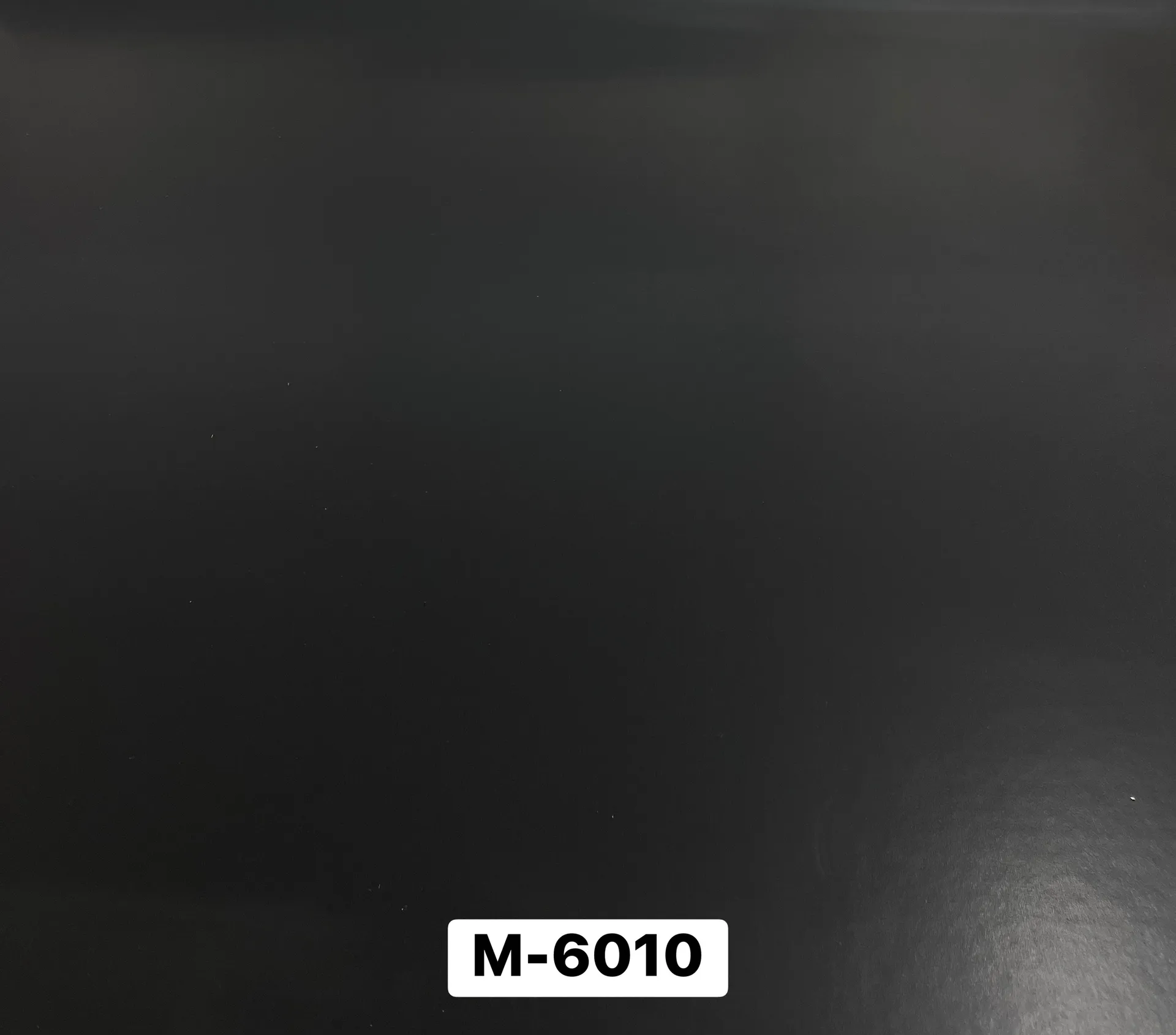 S37445642