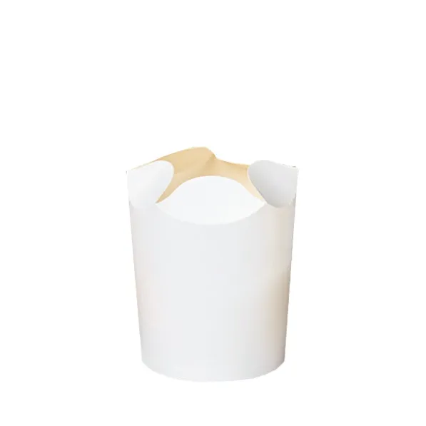 FSC00090AO02