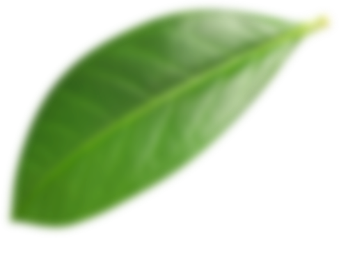 green(2)