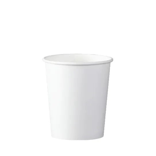 FSW00100AO01