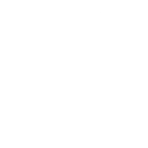 ic-pin03