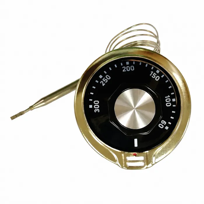 thermostat700x700