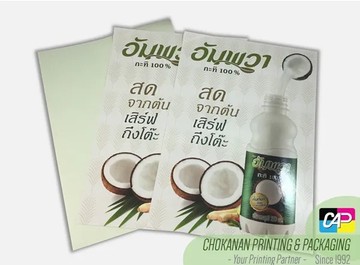 สิ่งพิมพ์อื่นๆ(2)
