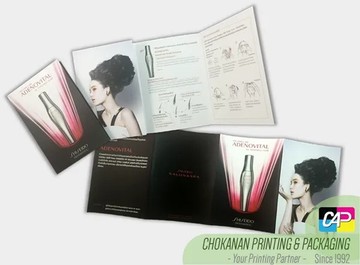 โบวชัวร์(3)