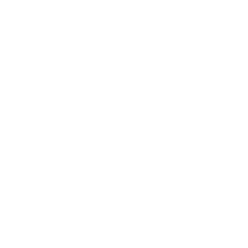 Anti-peep-password