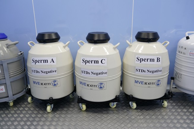 Elevating IVF Excellence with Cutting-Edge Facilities