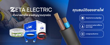 zetaelectricsslide5