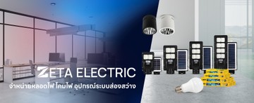 zetaelectricsslide8