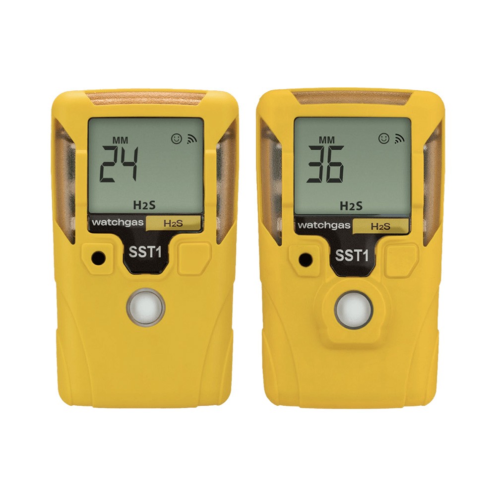 7-SST1-2&3-year-model