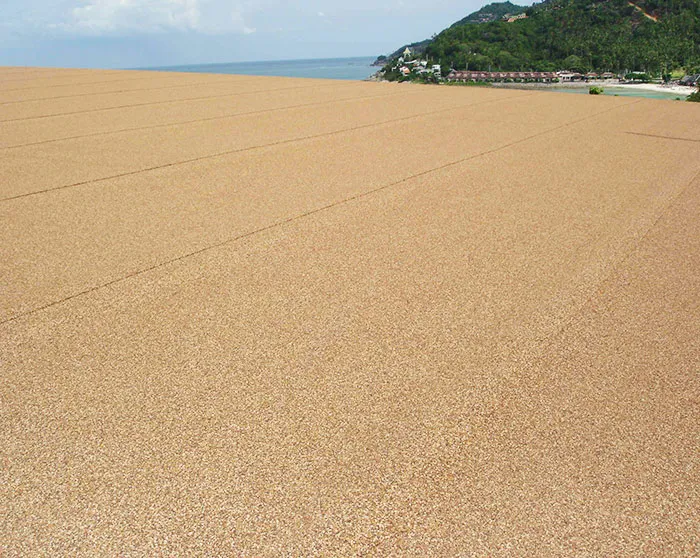 napawan20041