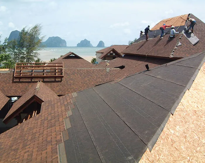 napawan20042