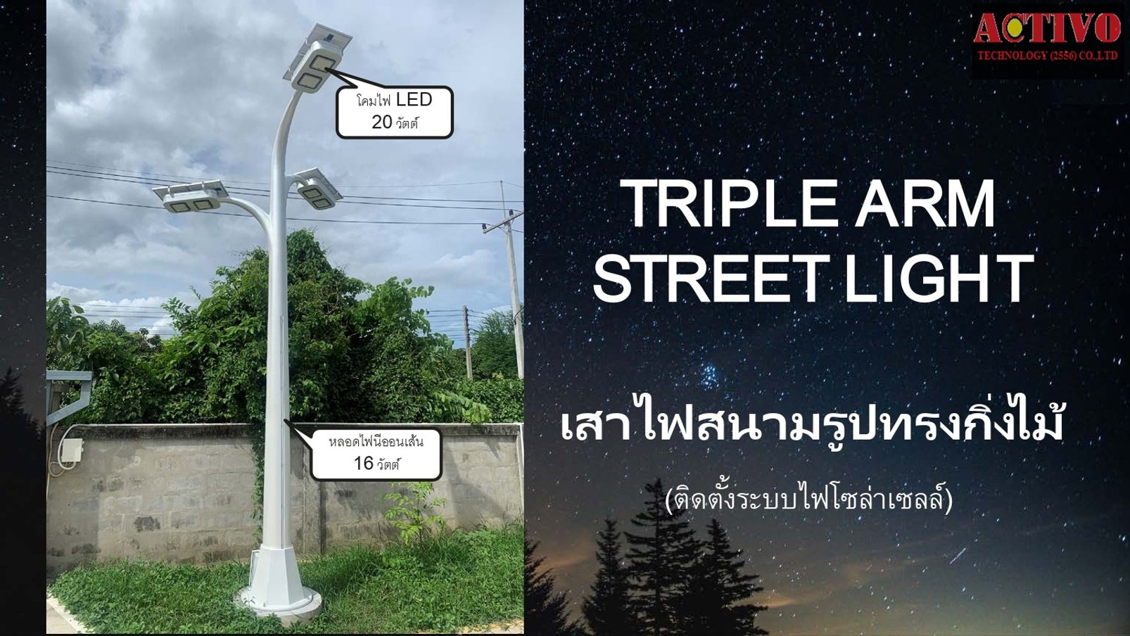 เสาไฟสนามรูปทรงกิ่งไม้โซล่า