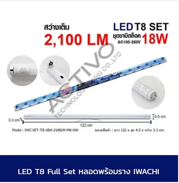 IwachiT8