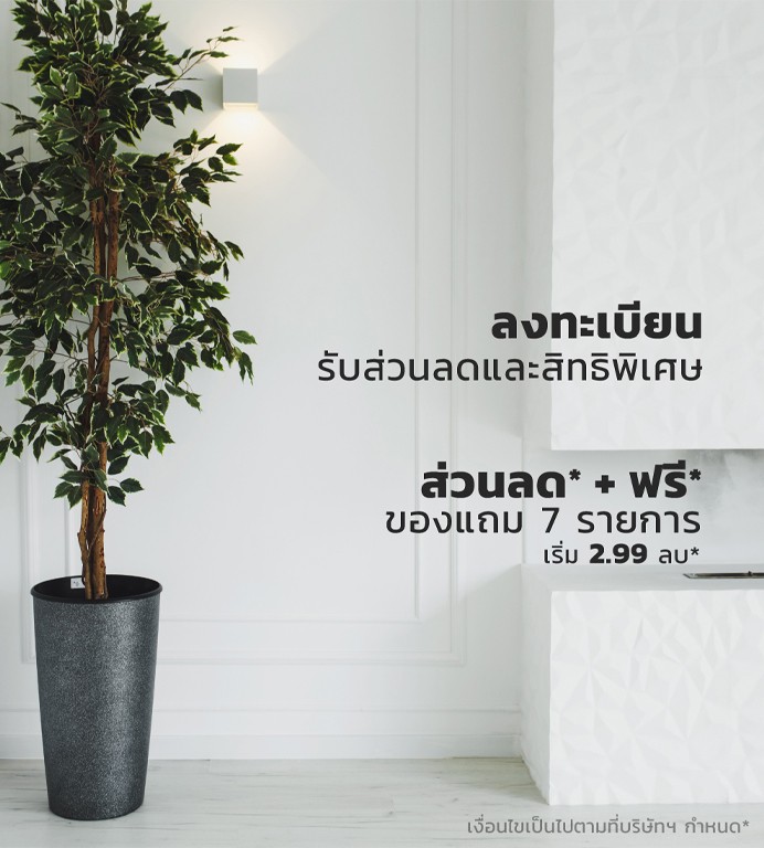 BNpromotion