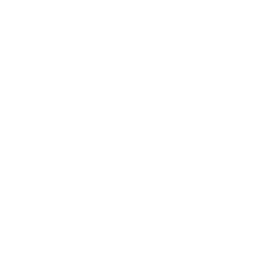 Back-up-data