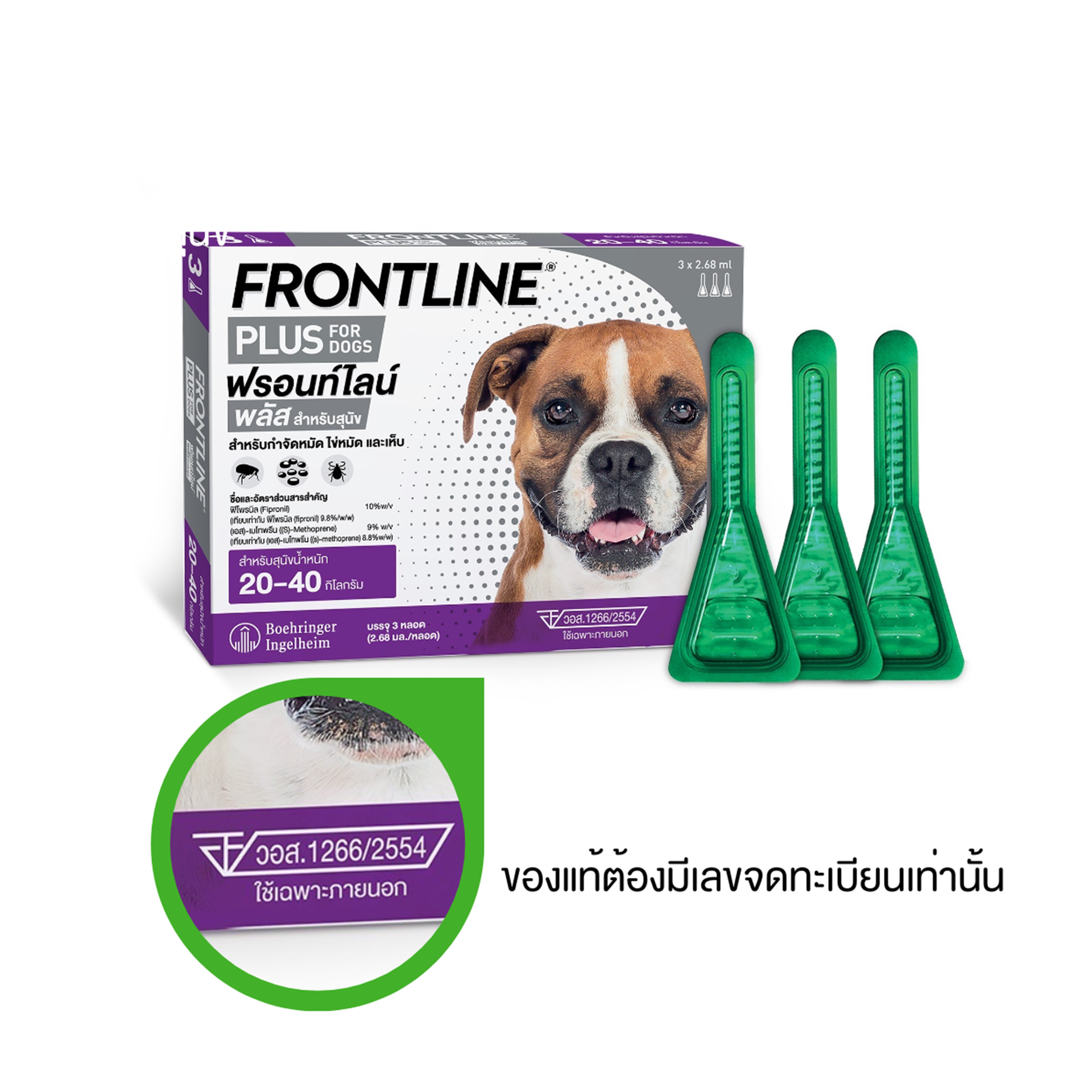 FLP-Dog-L-cer