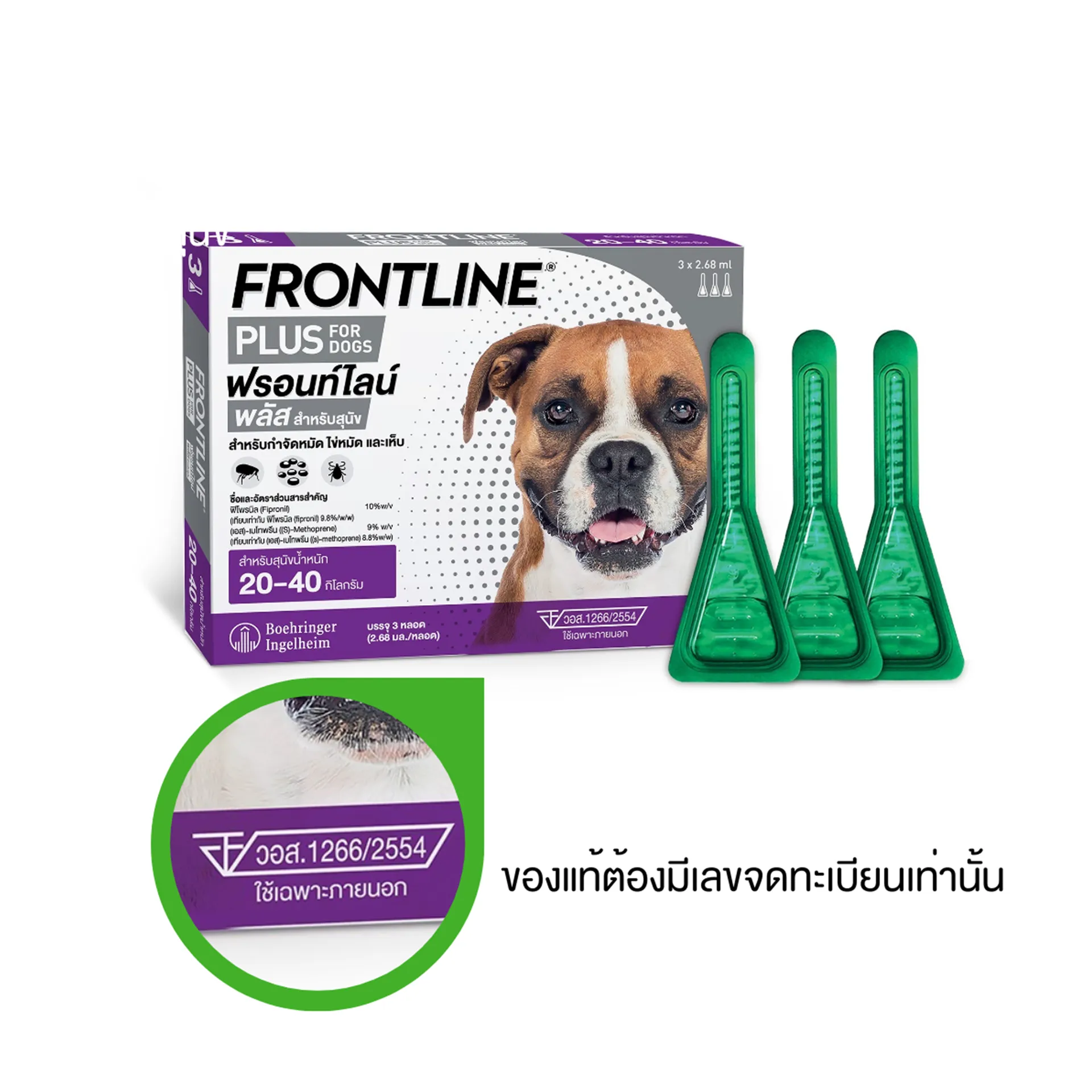 FLP-Dog-L-cer