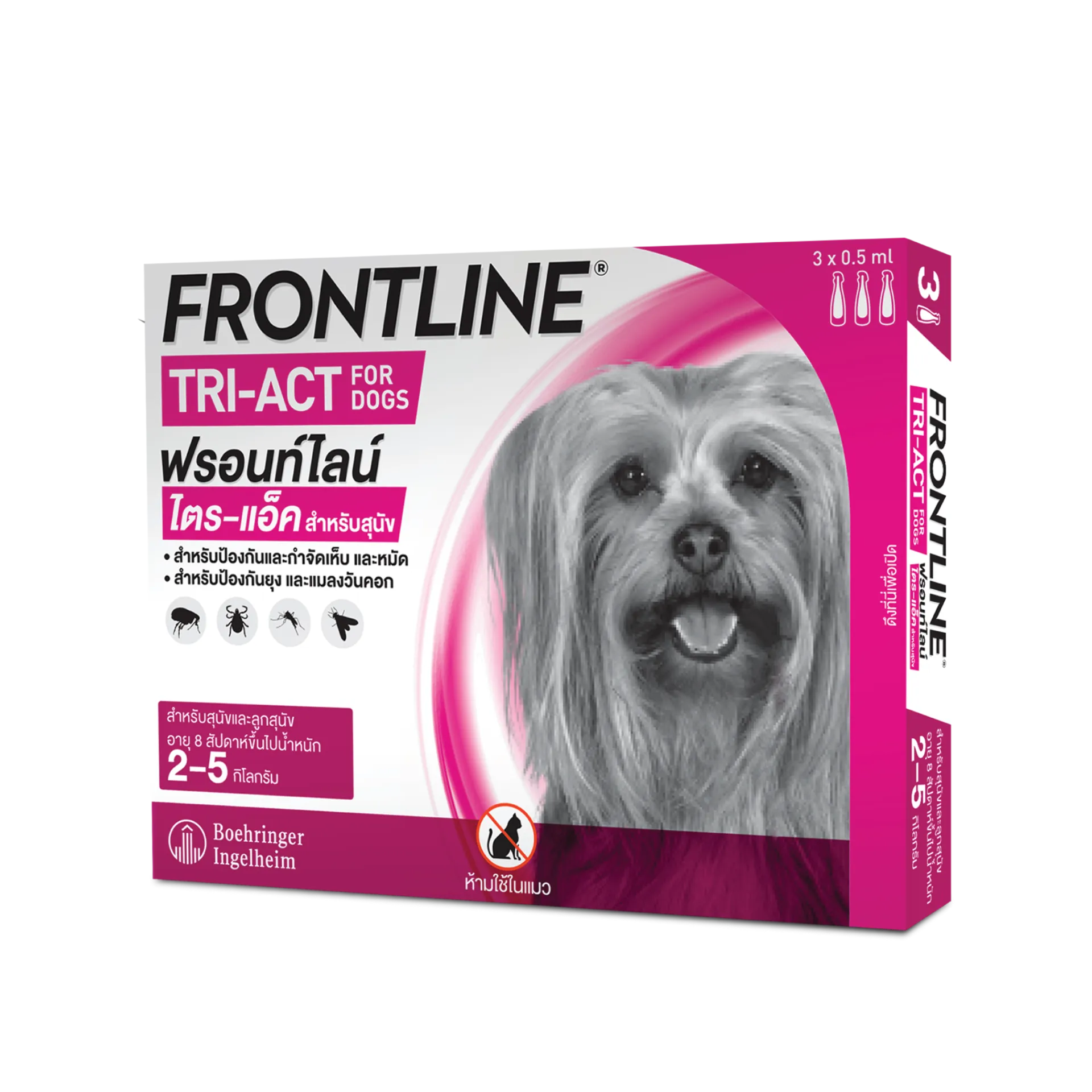 FRONTLINE02