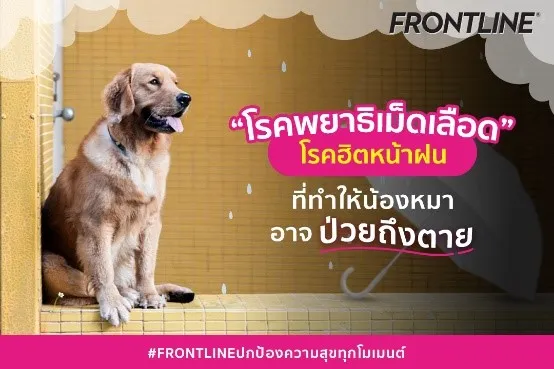 การกลับมาของพยาธิเม็ดเลือด