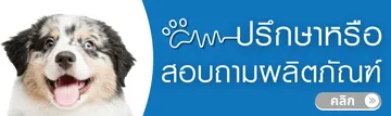 ปรึกษาสอบถามข้อมูล
