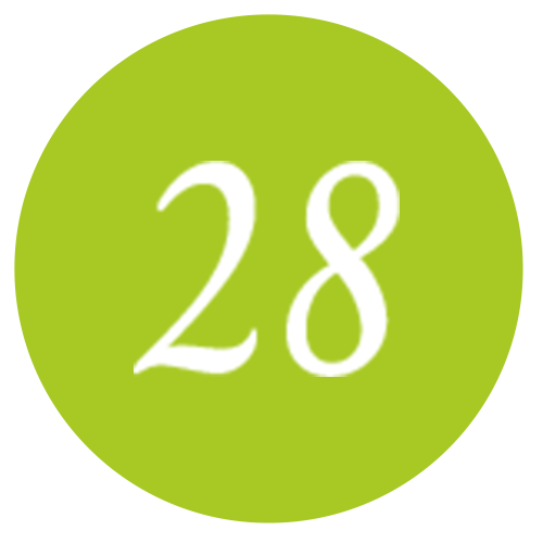 iconabout4