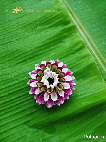 100malai-(1)