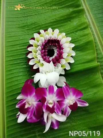 100malai-(1)