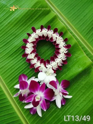 100malai-(1)