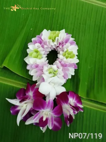 100malai-(2)