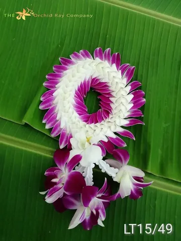 100malai-(2)
