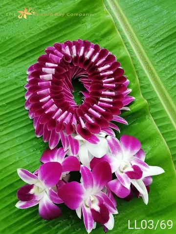 100malai-(3)