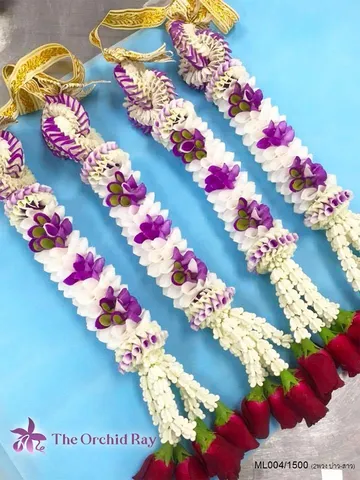 100malai-(3)